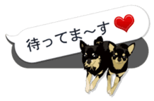 COCO and LOUIS. Balloon Sticker sticker #11595752