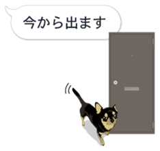 COCO and LOUIS. Balloon Sticker sticker #11595757