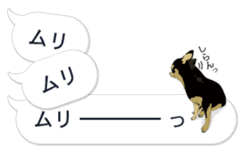 COCO and LOUIS. Balloon Sticker sticker #11595770