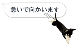 COCO and LOUIS. Balloon Sticker sticker #11595777