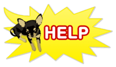 COCO and LOUIS. Balloon Sticker sticker #11595778