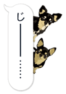 COCO and LOUIS. Balloon Sticker sticker #11595788