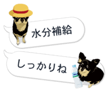 COCO and LOUIS. Balloon Sticker sticker #11595790