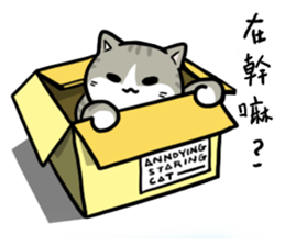 Annoying Staring Cat sticker #11595992