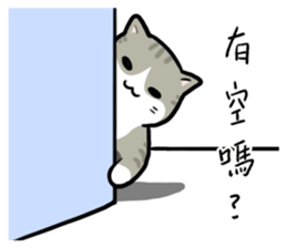 Annoying Staring Cat sticker #11595993