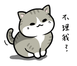 Annoying Staring Cat sticker #11595994