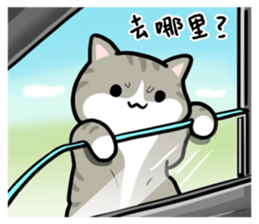 Annoying Staring Cat sticker #11595996