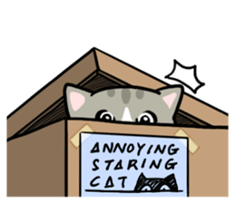 Annoying Staring Cat sticker #11595998