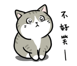 Annoying Staring Cat sticker #11596000