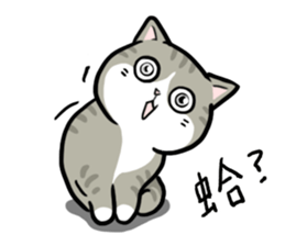 Annoying Staring Cat sticker #11596001