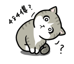 Annoying Staring Cat sticker #11596002
