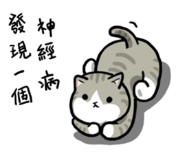 Annoying Staring Cat sticker #11596003