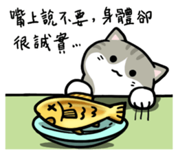 Annoying Staring Cat sticker #11596004