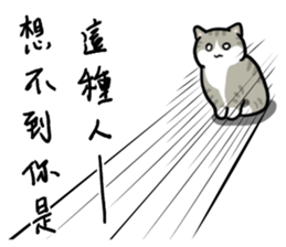 Annoying Staring Cat sticker #11596005