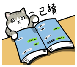 Annoying Staring Cat sticker #11596006