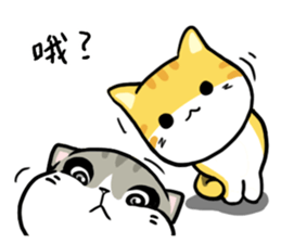 Annoying Staring Cat sticker #11596008