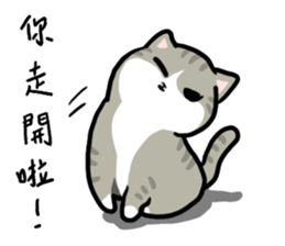 Annoying Staring Cat sticker #11596010
