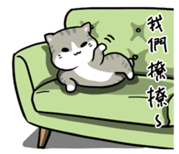 Annoying Staring Cat sticker #11596011