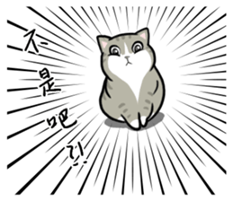 Annoying Staring Cat sticker #11596013