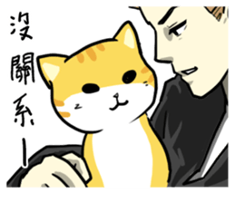 Annoying Staring Cat sticker #11596019