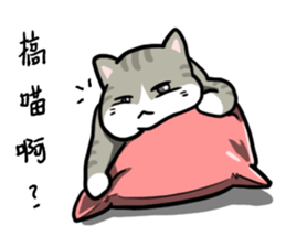 Annoying Staring Cat sticker #11596022