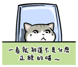 Annoying Staring Cat sticker #11596027