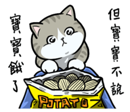 Annoying Staring Cat sticker #11596030