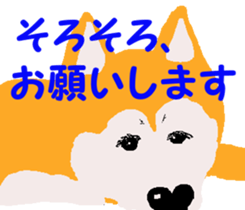Shiba inu MOMO chan the third as well 19 sticker #11596513