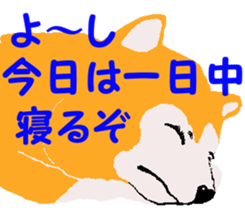 Shiba inu MOMO chan the third as well 19 sticker #11596516