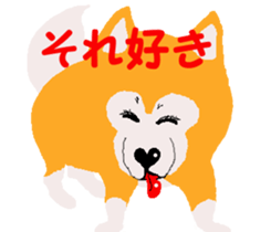 Shiba inu MOMO chan the third as well 19 sticker #11596520