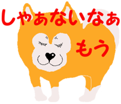 Shiba inu MOMO chan the third as well 19 sticker #11596521
