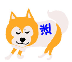 Shiba inu MOMO chan the third as well 19 sticker #11596526