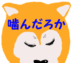 Shiba inu MOMO chan the third as well 19 sticker #11596527