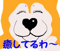 Shiba inu MOMO chan the third as well 19 sticker #11596529