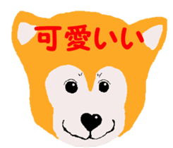 Shiba inu MOMO chan the third as well 19 sticker #11596535