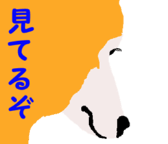 Shiba inu MOMO chan the third as well 19 sticker #11596537