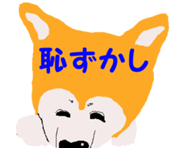 Shiba inu MOMO chan the third as well 19 sticker #11596538