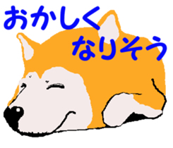 Shiba inu MOMO chan the third as well 19 sticker #11596544