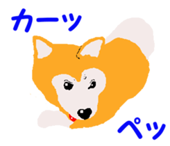 Shiba inu MOMO chan the third as well 19 sticker #11596546