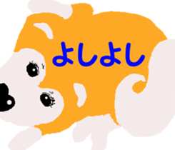 Shiba inu MOMO chan the third as well 19 sticker #11596547