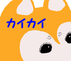 Shiba inu MOMO chan the third as well 19 sticker #11596548