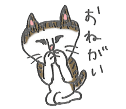 Lovely cat "Chibi" sticker #11596817
