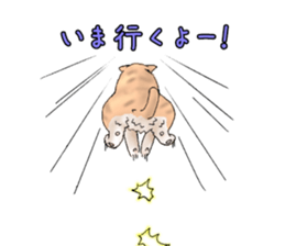 Exotic every day the third day sticker #11596930