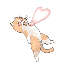 Exotic every day the third day sticker #11596938