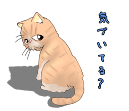 Exotic every day the third day sticker #11596950