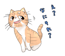 Exotic every day the third day sticker #11596951