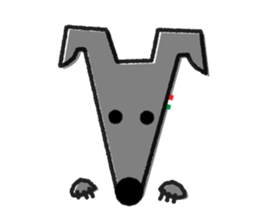 ITAGREMY : Face of Italian Greyhound. sticker #11597608