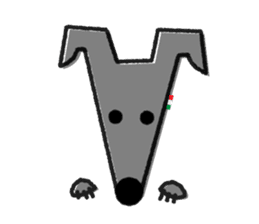 ITAGREMY : Face of Italian Greyhound. sticker #11597608