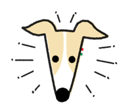 ITAGREMY : Face of Italian Greyhound. sticker #11597611
