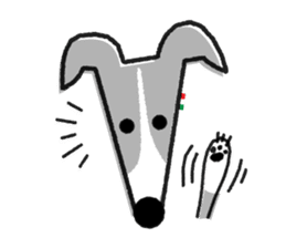 ITAGREMY : Face of Italian Greyhound. sticker #11597615